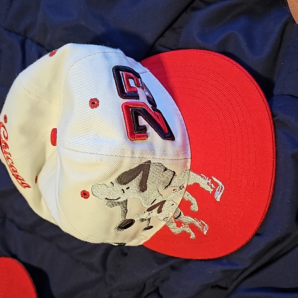 Michael Jordan Snap Back hat(new)